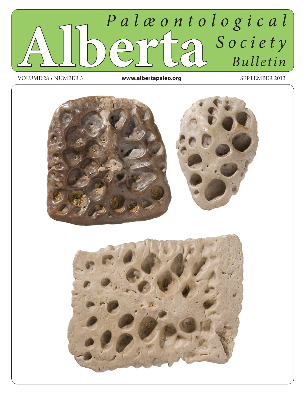 Alberta Palaeontological Society Bulletin September 2013, Volume