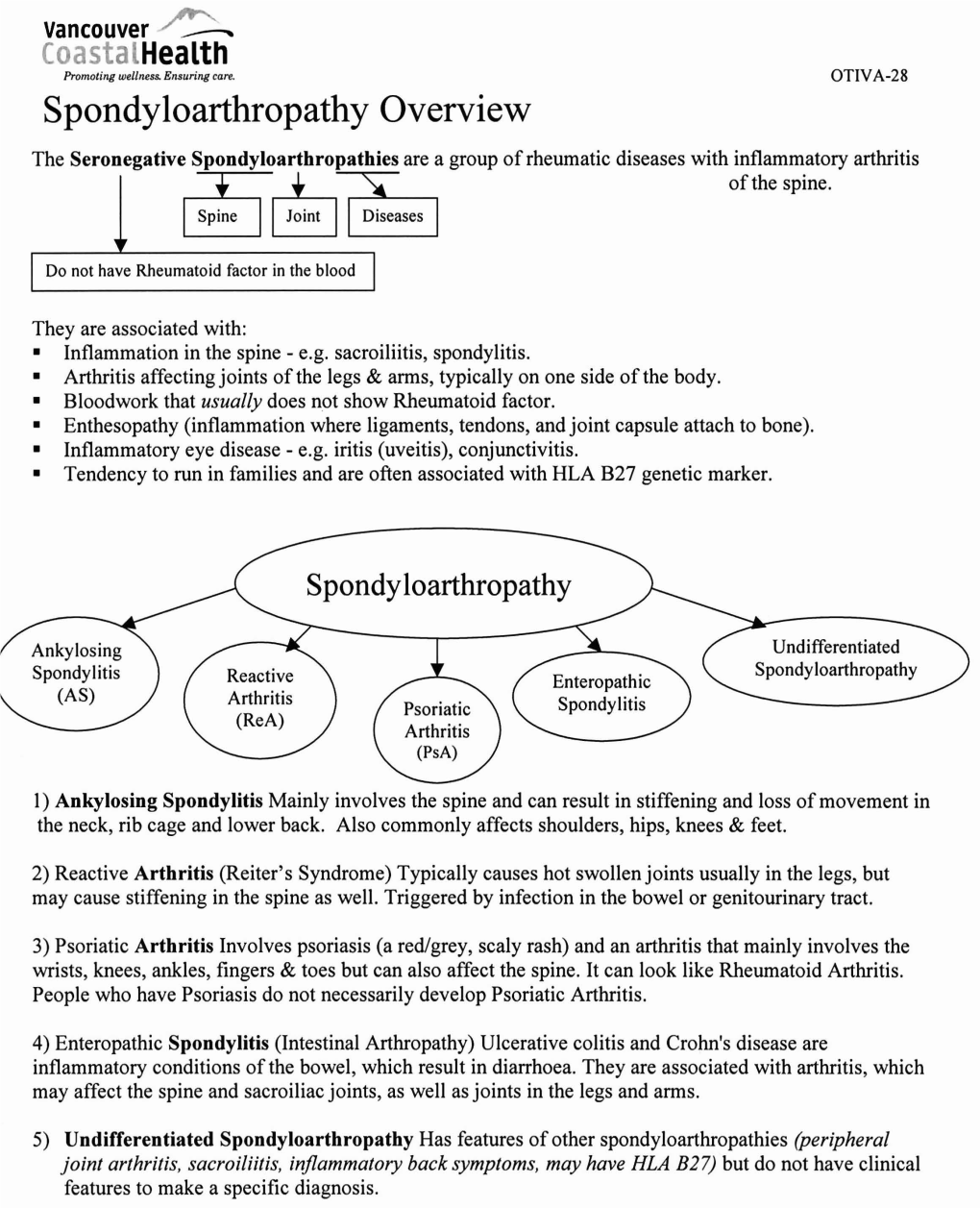 Spondyloarthropathy Overview the Seronegative Spondyloarthropathies Are a Group of Rheumatic Diseases with Inflammatory Arthritis - - I ALL of the Spine