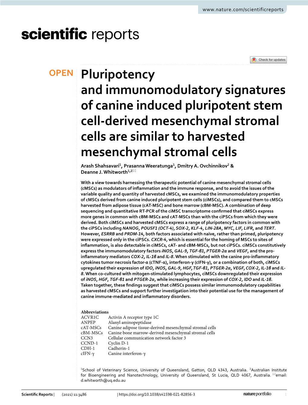 Pluripotency and Immunomodulatory Signatures of Canine Induced