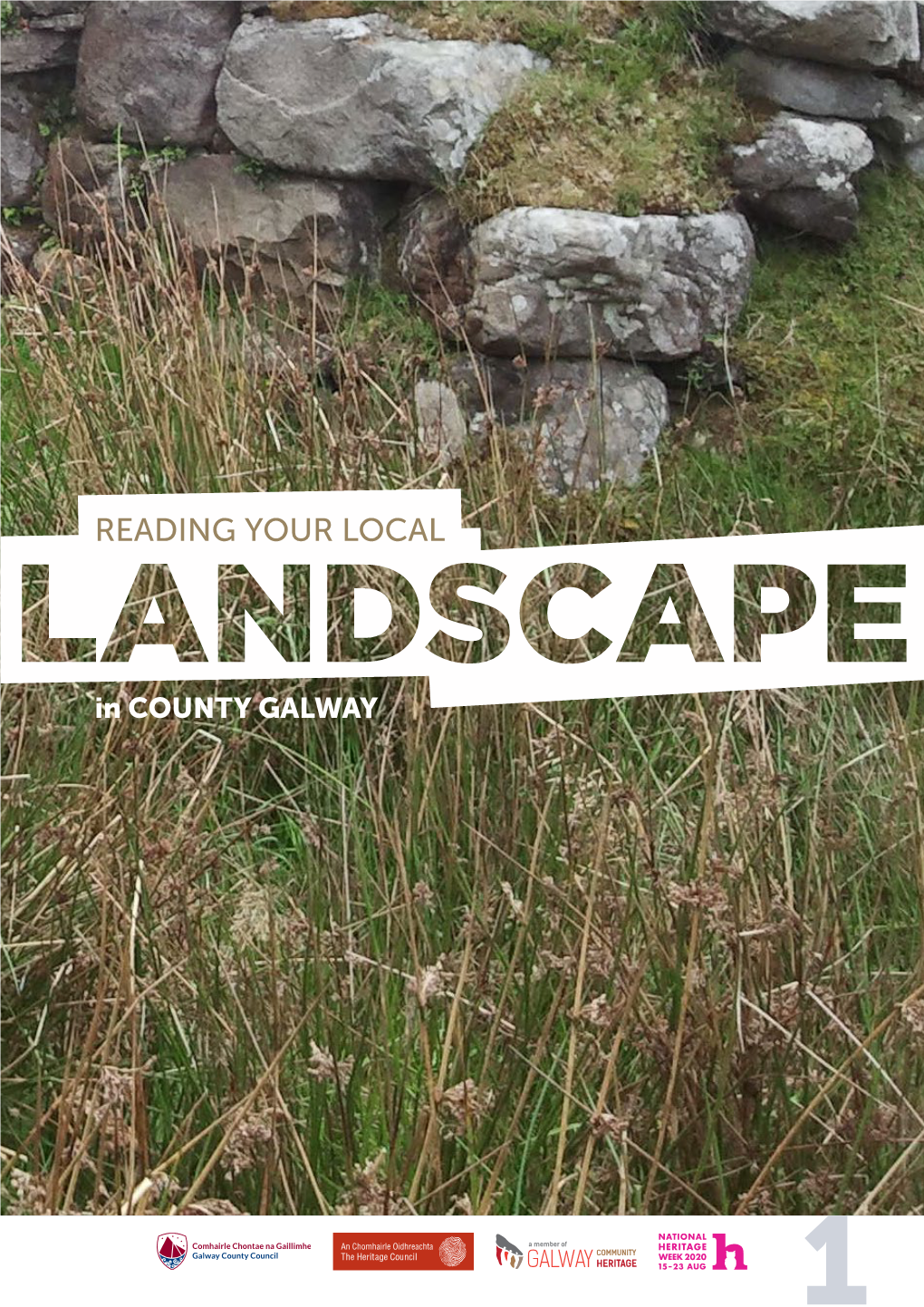 Reading Your Landscape