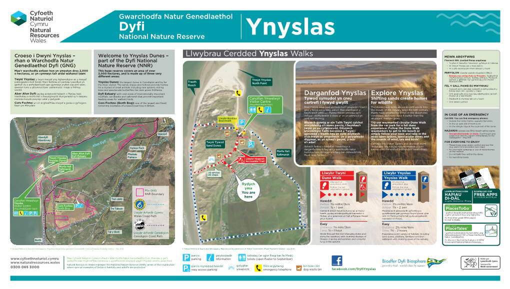 Twyni Ynyslas: Y Twyni Mwyaf Yng Ngheredigion Ac Y Mwyaf Trwyn Ynyslas Wylwyr Y Glannau Cyn Gynted Ag Y Bo Modd - Poblogaidd O Bell Fordd