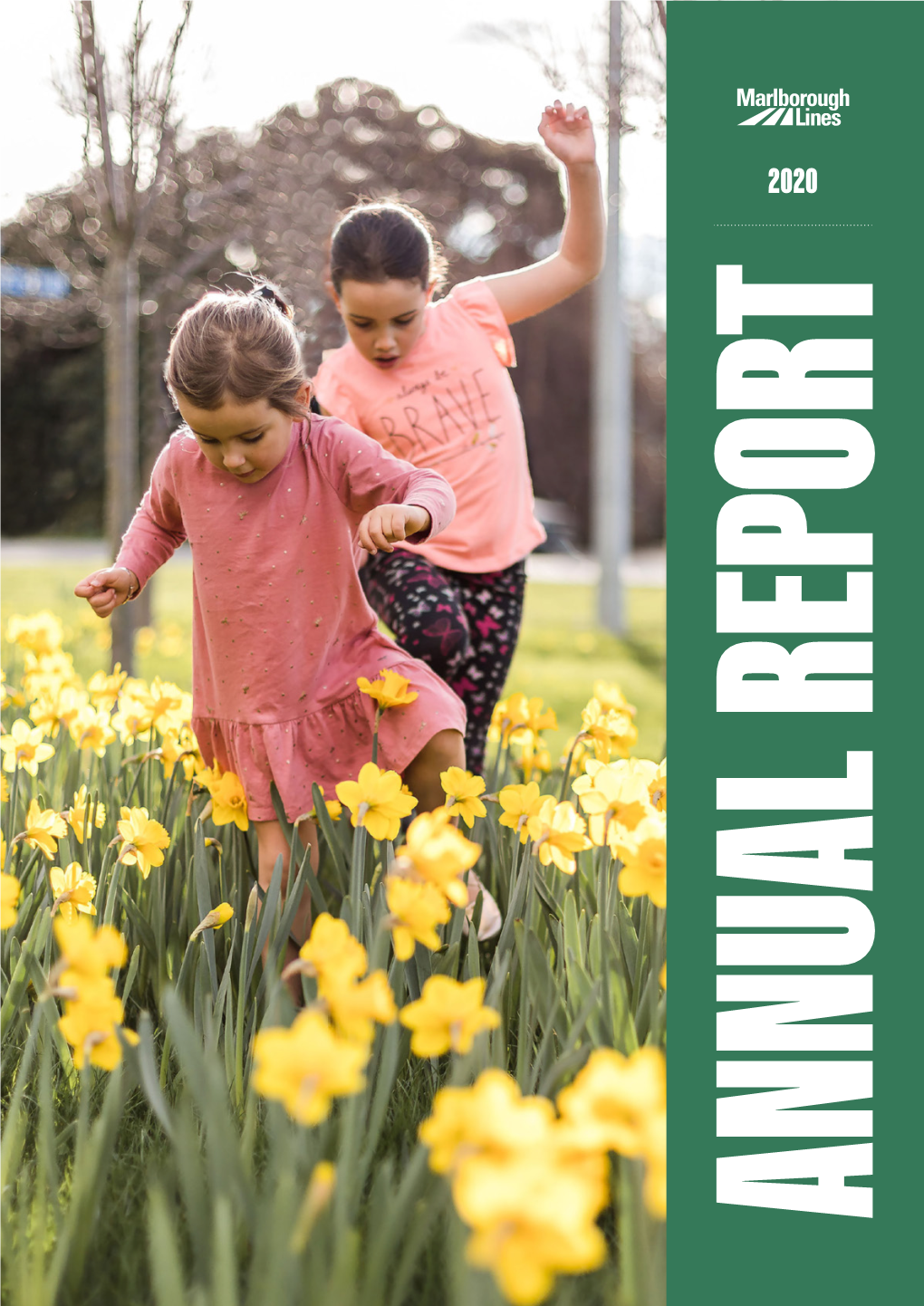 2020 Annual Report