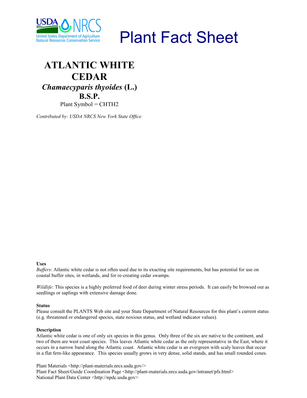 Atlantic White Cedar s1