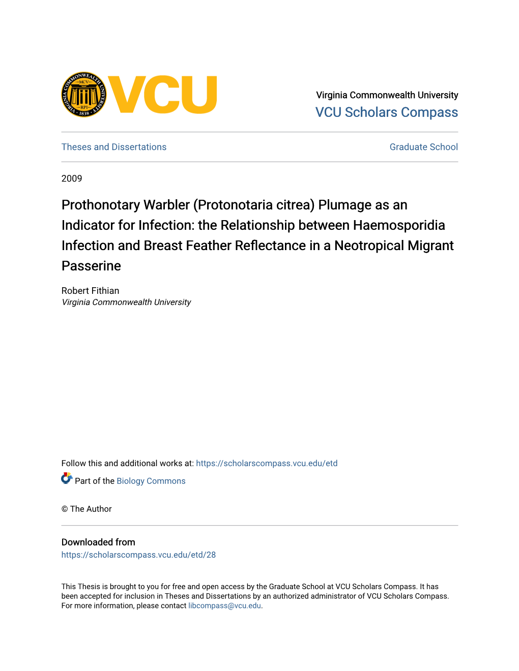 Prothonotary Warbler (Protonotaria Citrea)