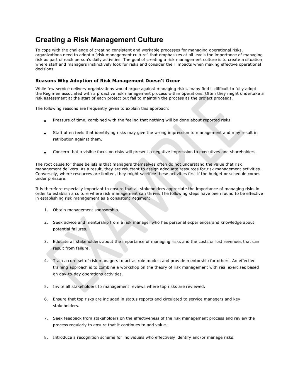 Risk Management Process Template