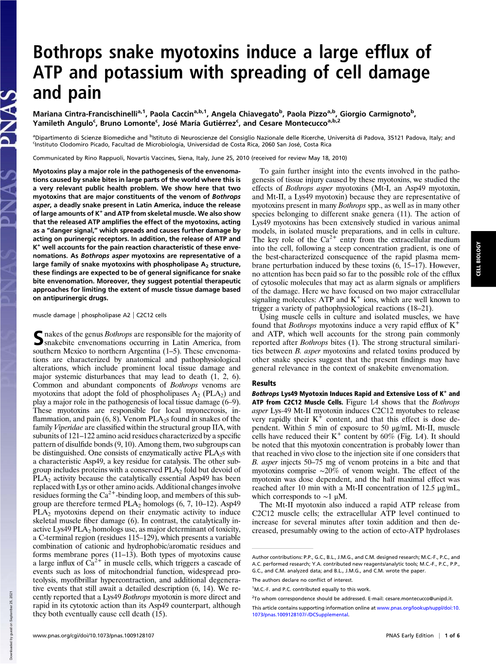 Bothrops Snake Myotoxins Induce a Large Efflux of ATP and Potassium