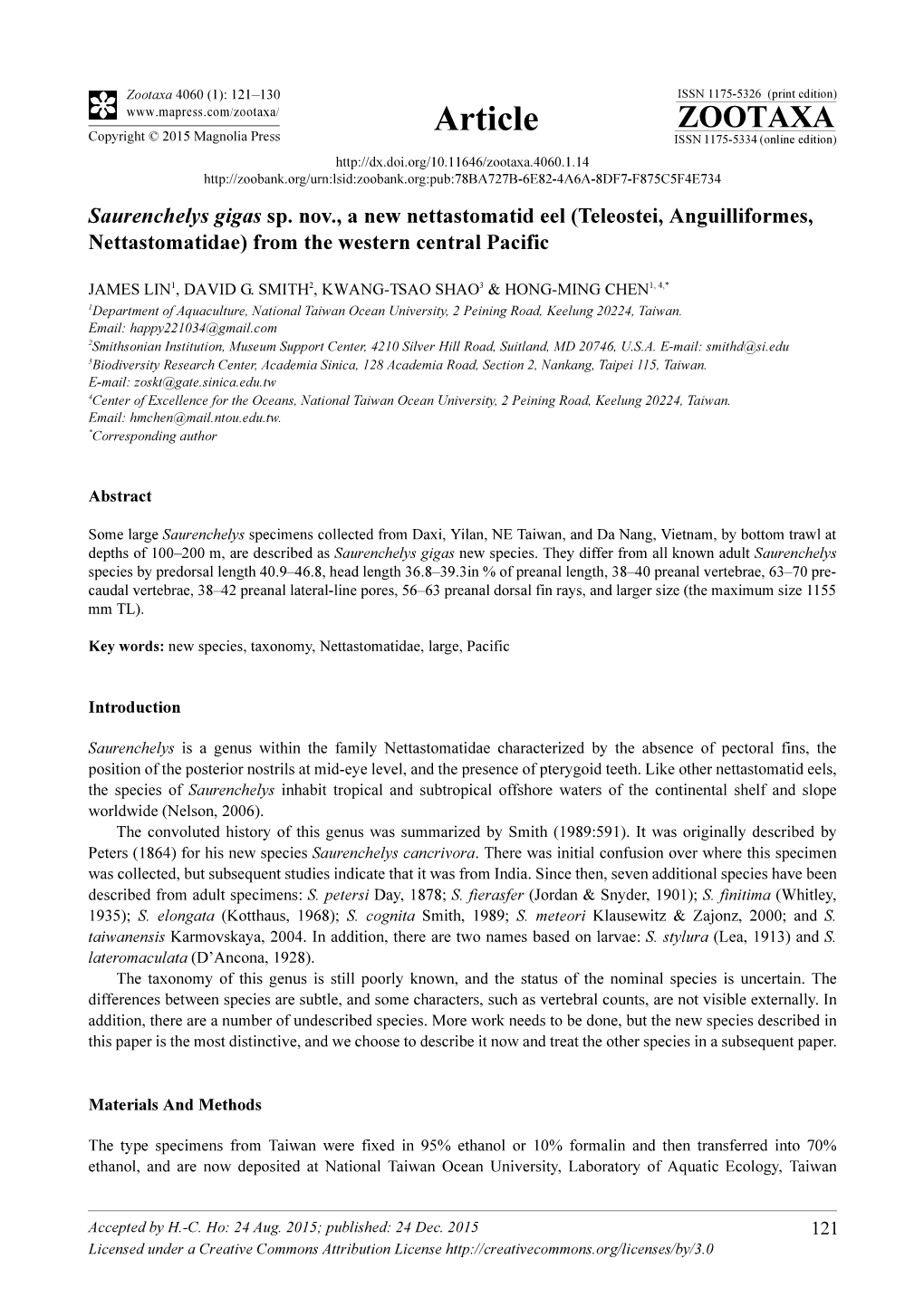 Saurenchelys Gigas Sp. Nov., a New Nettastomatid Eel (Teleostei, Anguilliformes, Nettastomatidae) from the Western Central Pacific