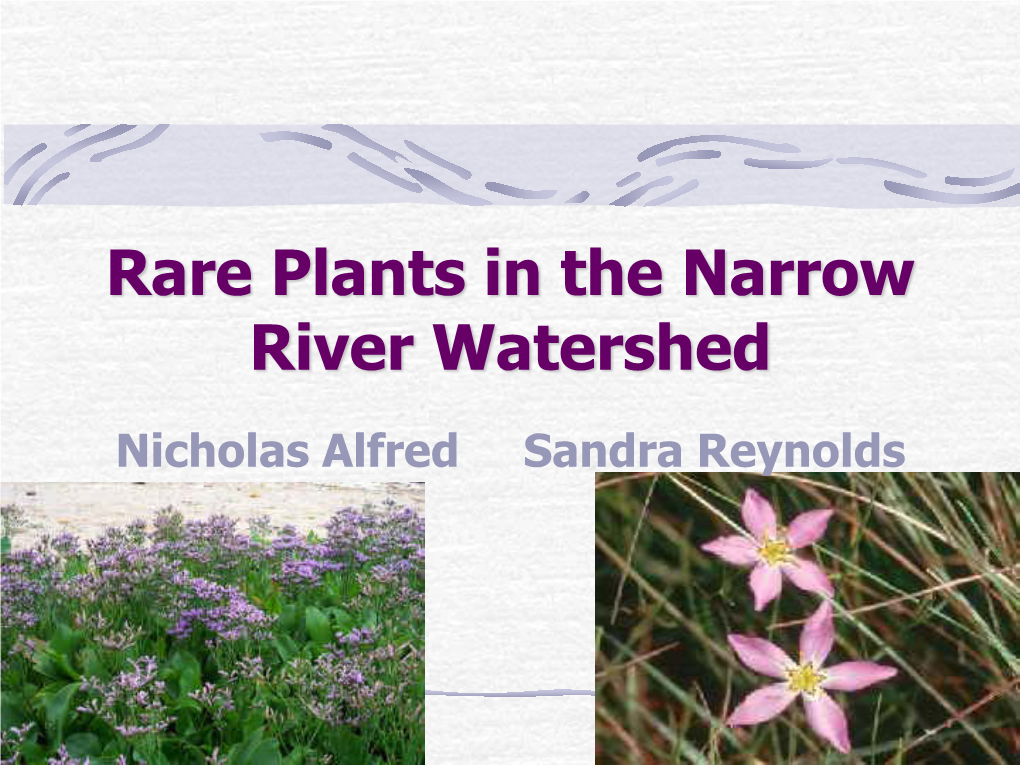 Rare Plants in the Narrow River Watershed