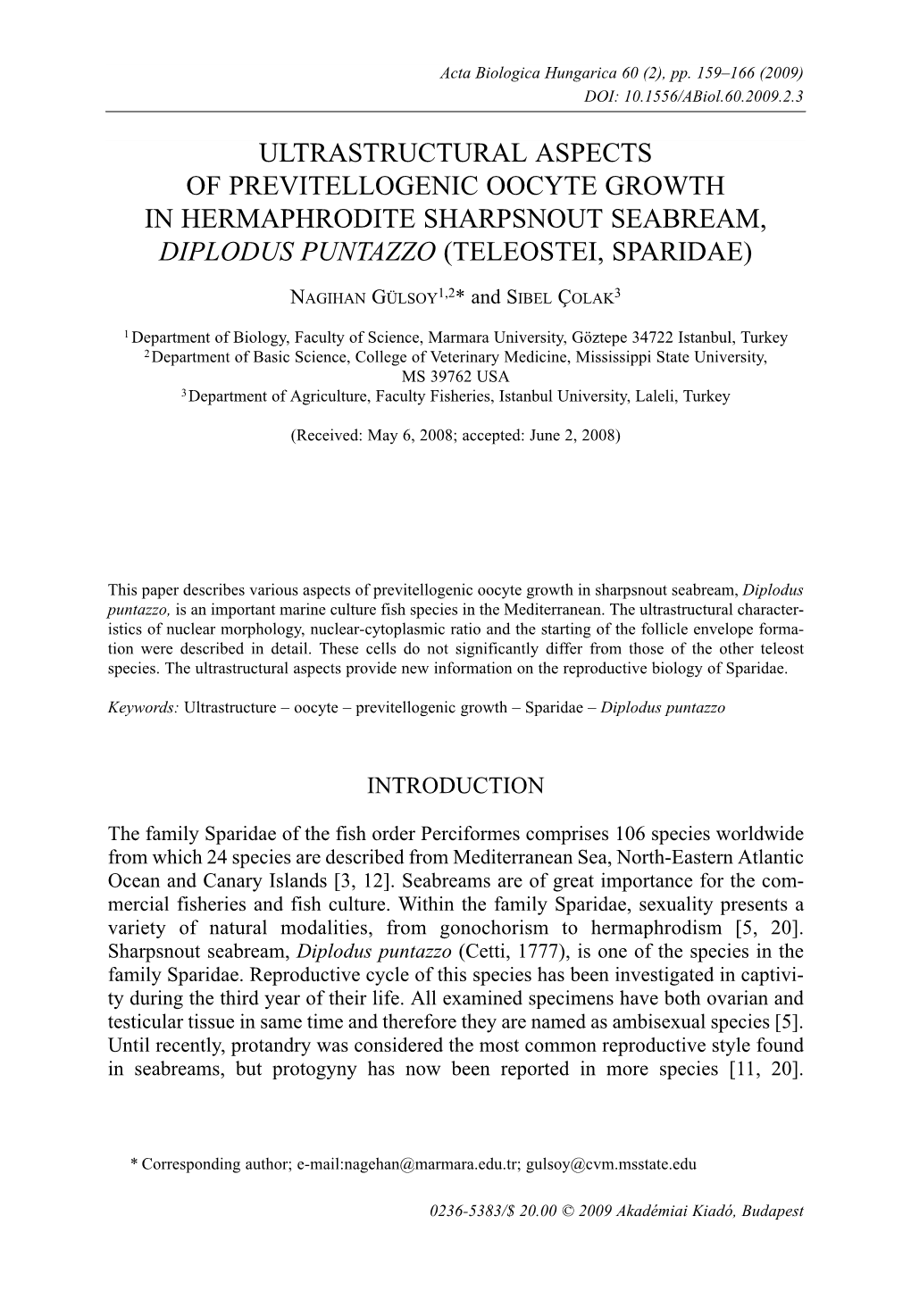 Ultrastructural Aspects of Previtellogenic Oocyte Growth in Hermaphrodite Sharpsnout Seabream, Diplodus Puntazzo (Teleostei, Sparidae)