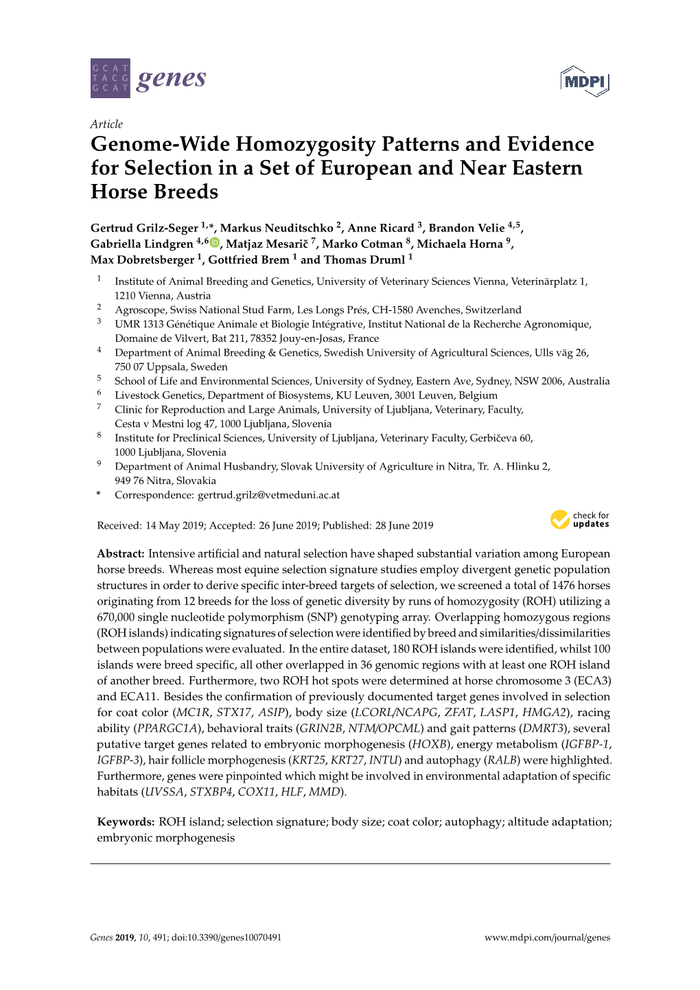 Genome-Wide Homozygosity Patterns and Evidence for Selection in a Set of European and Near Eastern Horse Breeds