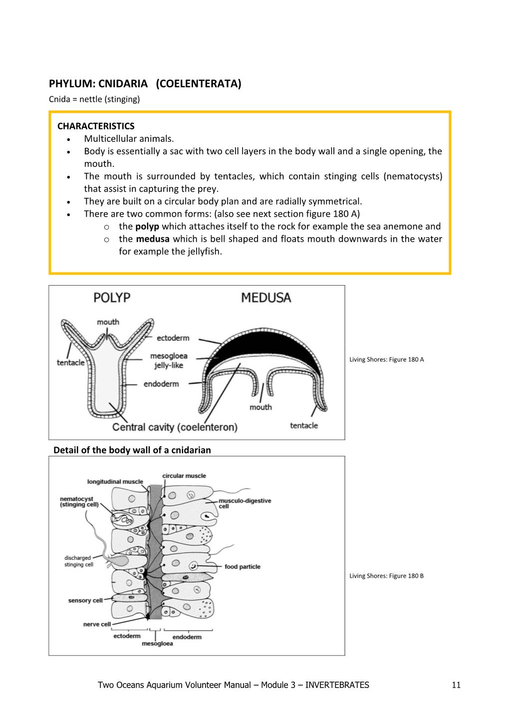 General Information