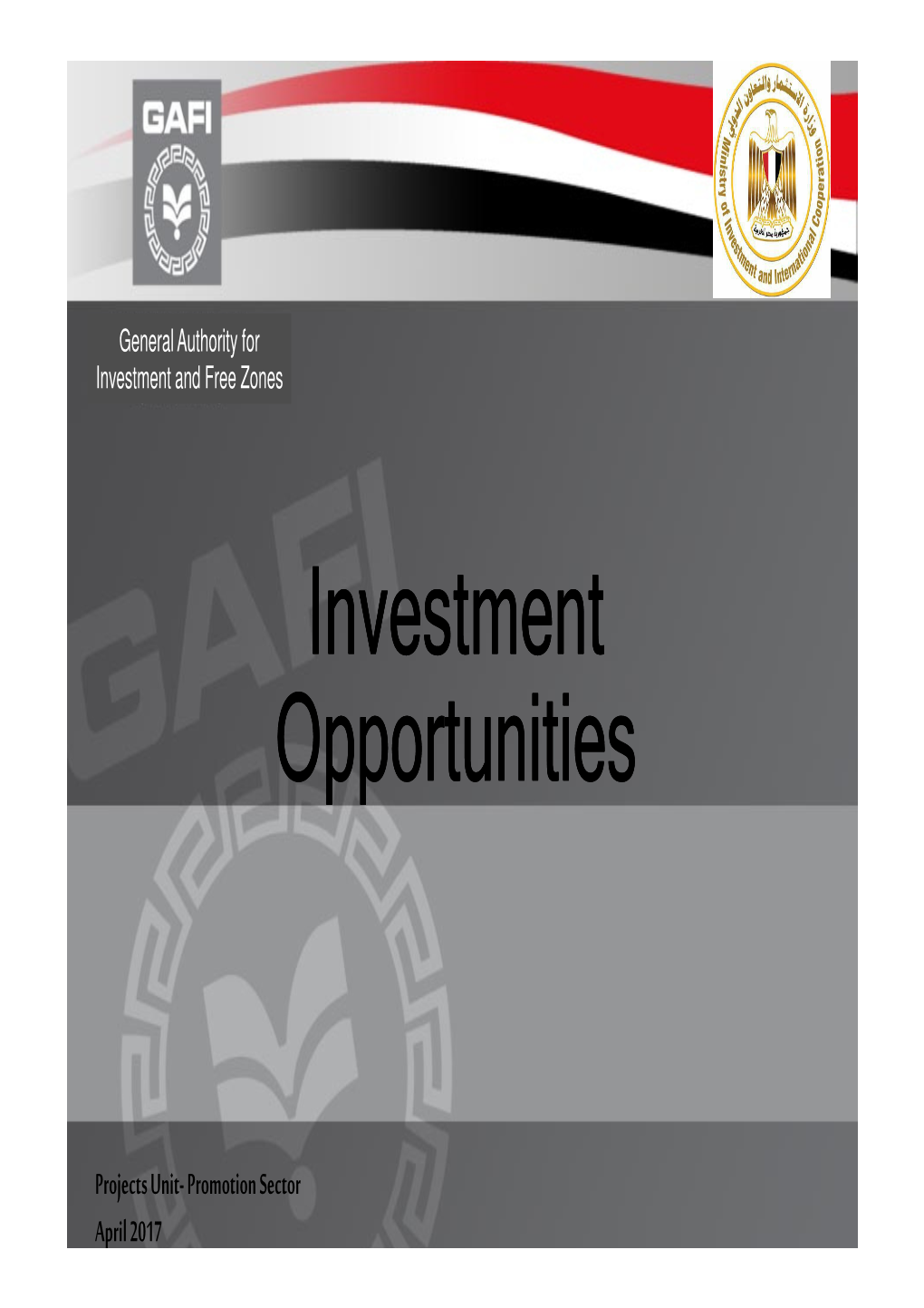 Investment Investment Opportunities