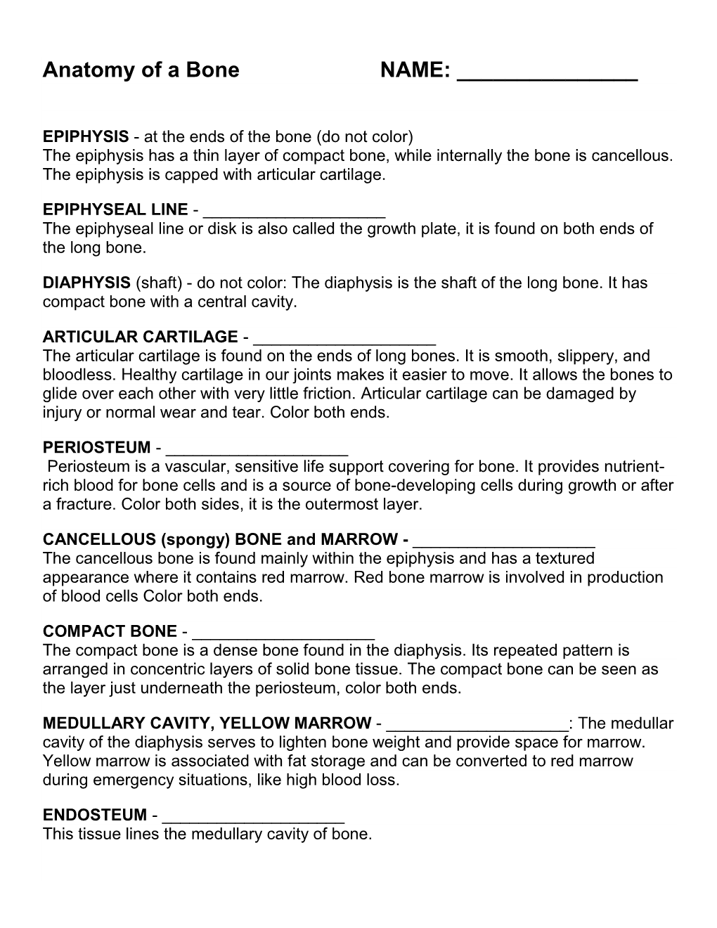 Anatomy of a Bone NAME: ______