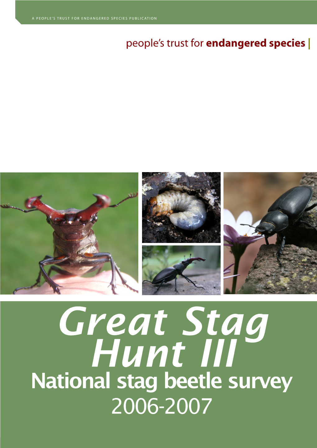 Great Stag Hunt 3 Report, 2006-2007