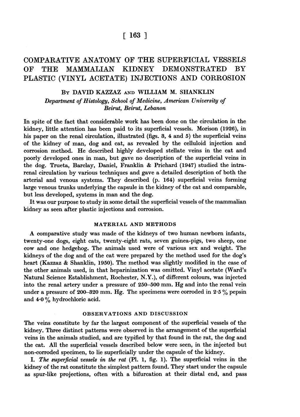 COMPARATIVE ANATOMY of the SUPERFICIAL VESSELS of the MAMMALIAN KIDNEY DEMONSTRATED by PLASTIC (VINYL ACETATE) INJECTIONS and CORROSION by DAVID KAZZAZ and WILLIAM M