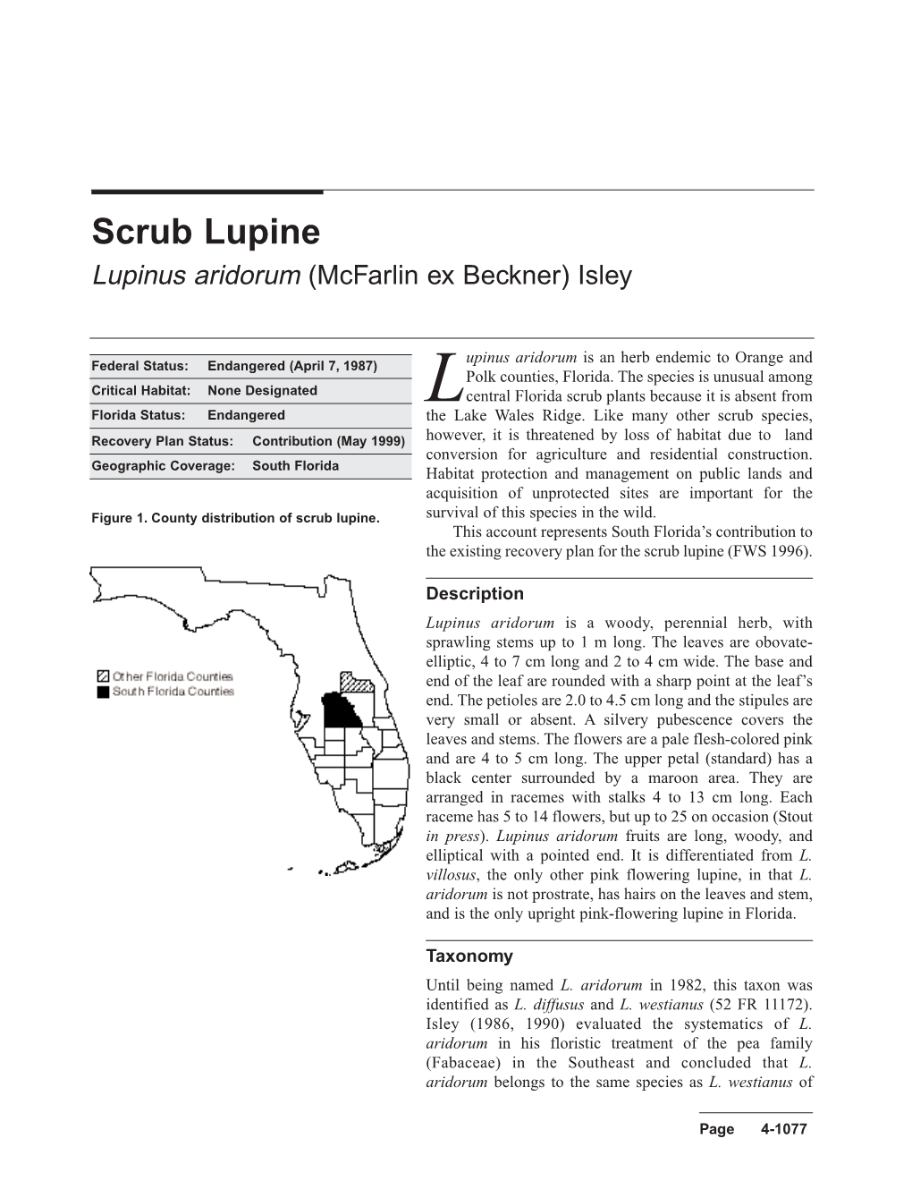 Scrub Lupine Lupinus Aridorum (Mcfarlin Ex Beckner) Isley