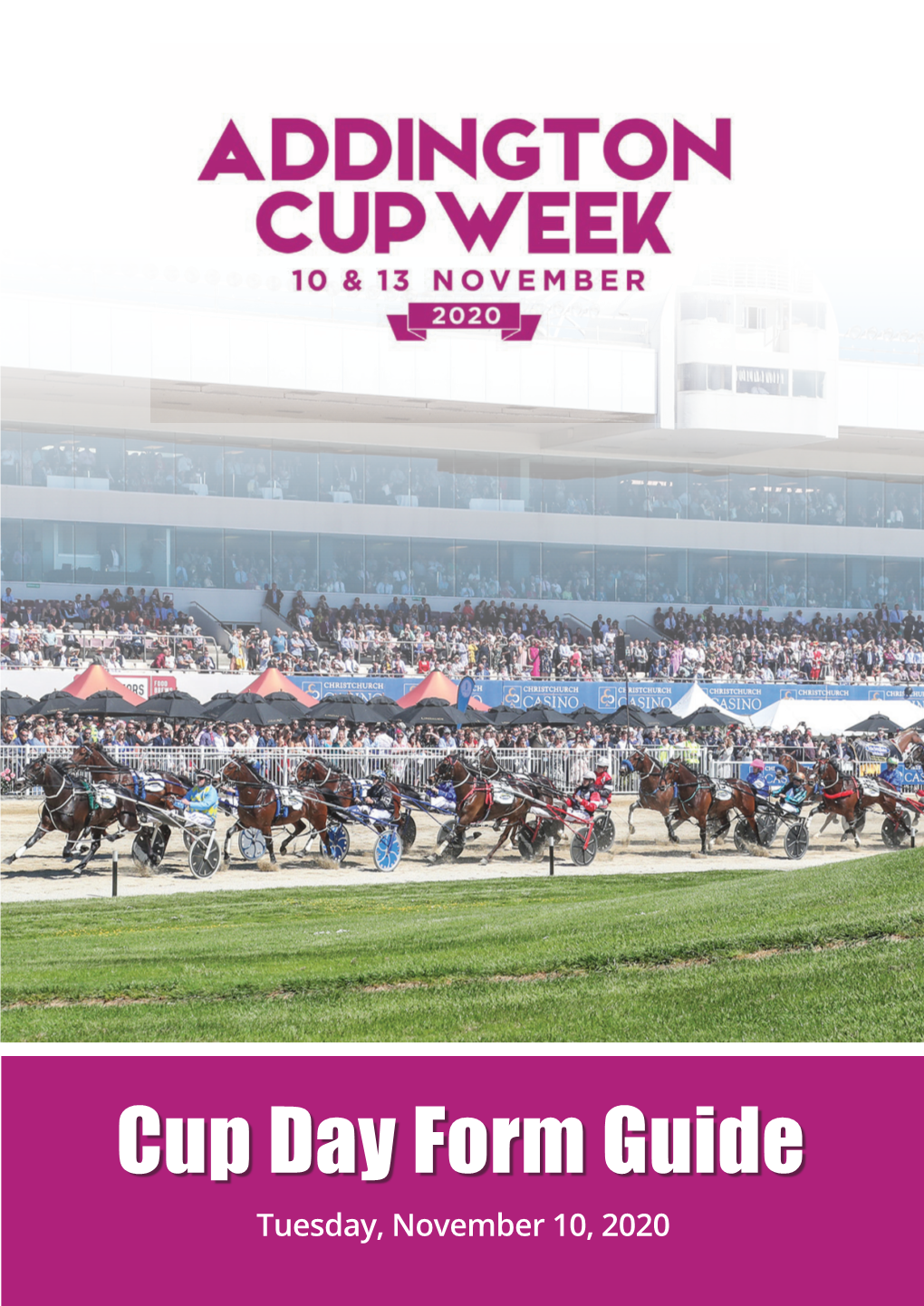 Cup Day Form Guide Tuesday, November 10, 2020