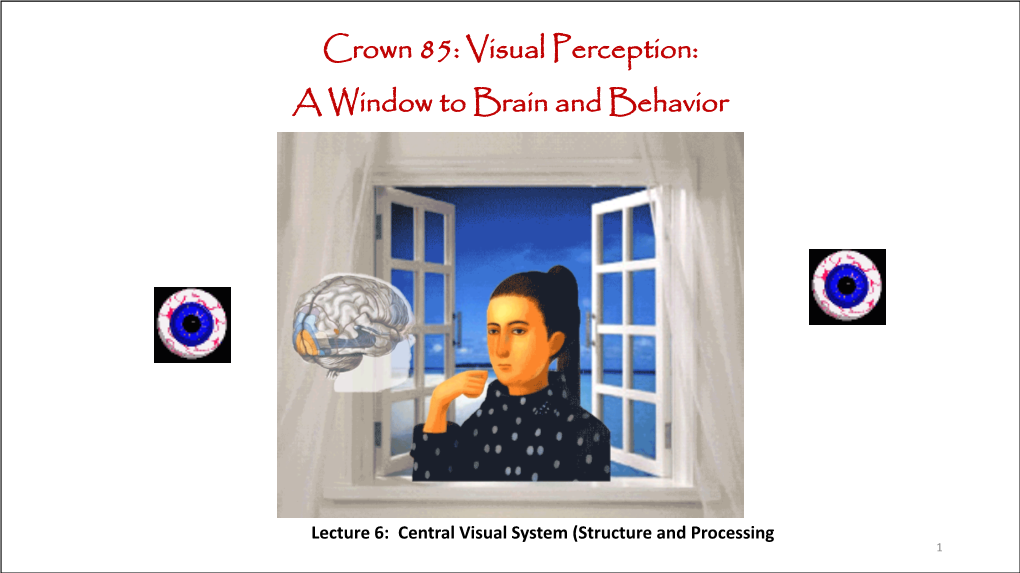 Crown 85: Visual Perception: a Window to Brain and Behavior