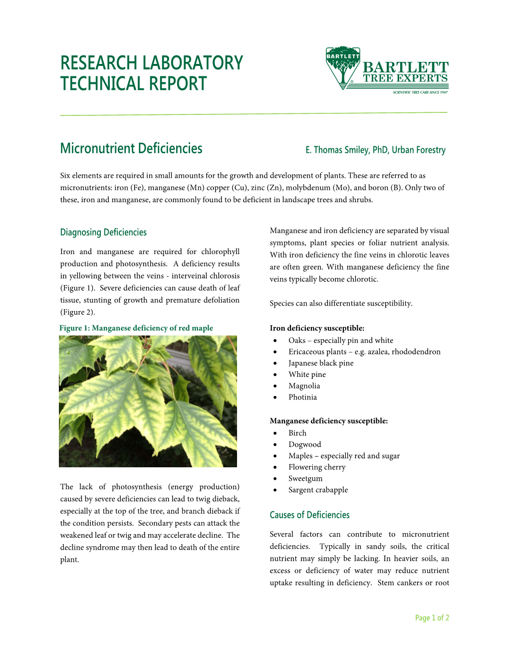 Micronutrient Deficiencies E