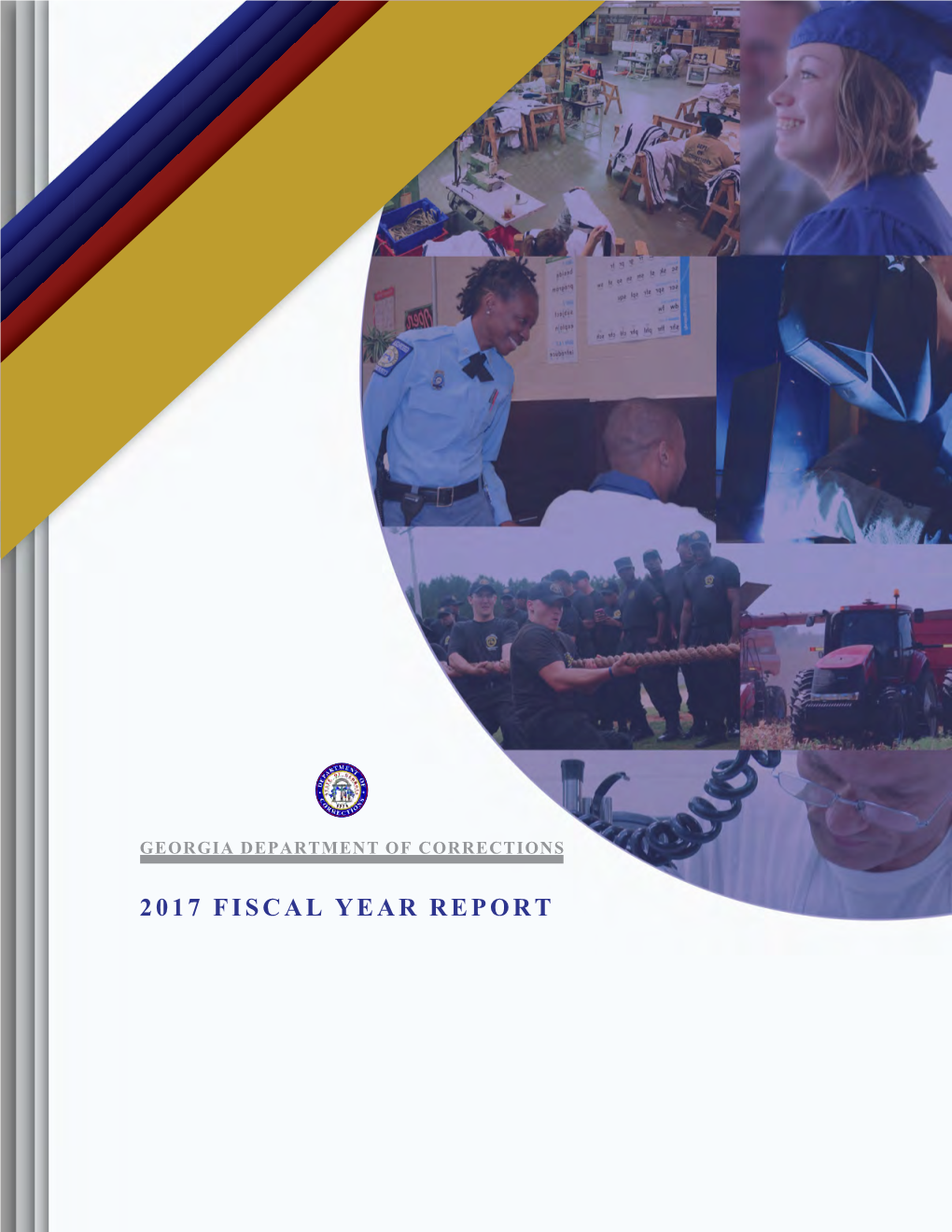 2017 Fiscal Year Report