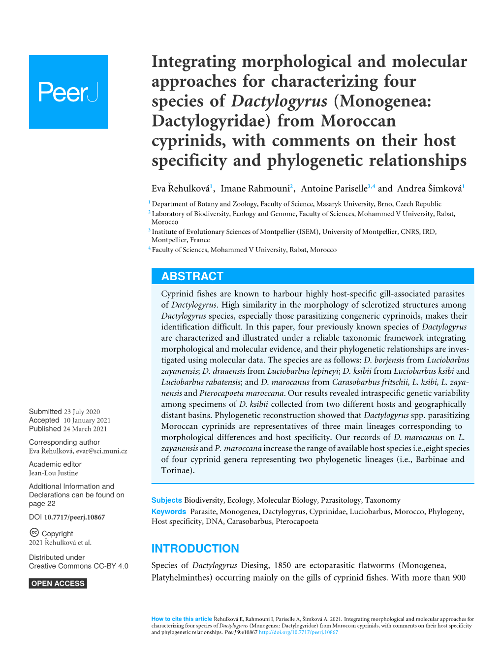 Monogenea : Dactylogyridae