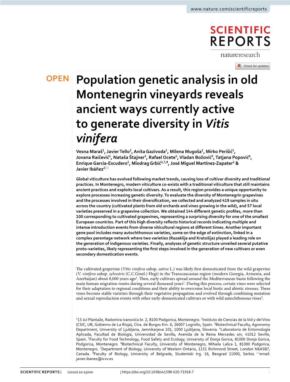 Population Genetic Analysis in Old Montenegrin Vineyards Reveals