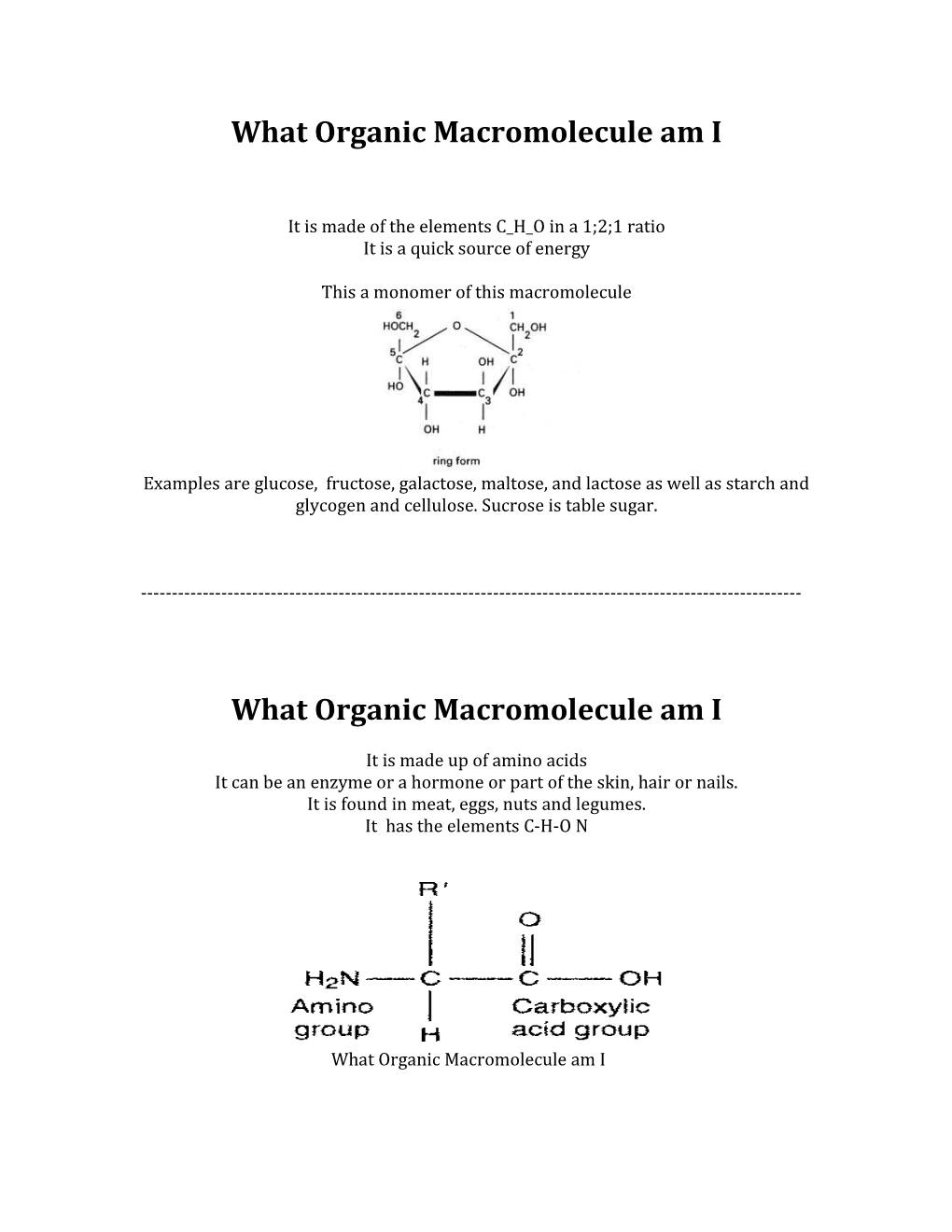 What Organic Macromolecule Am I