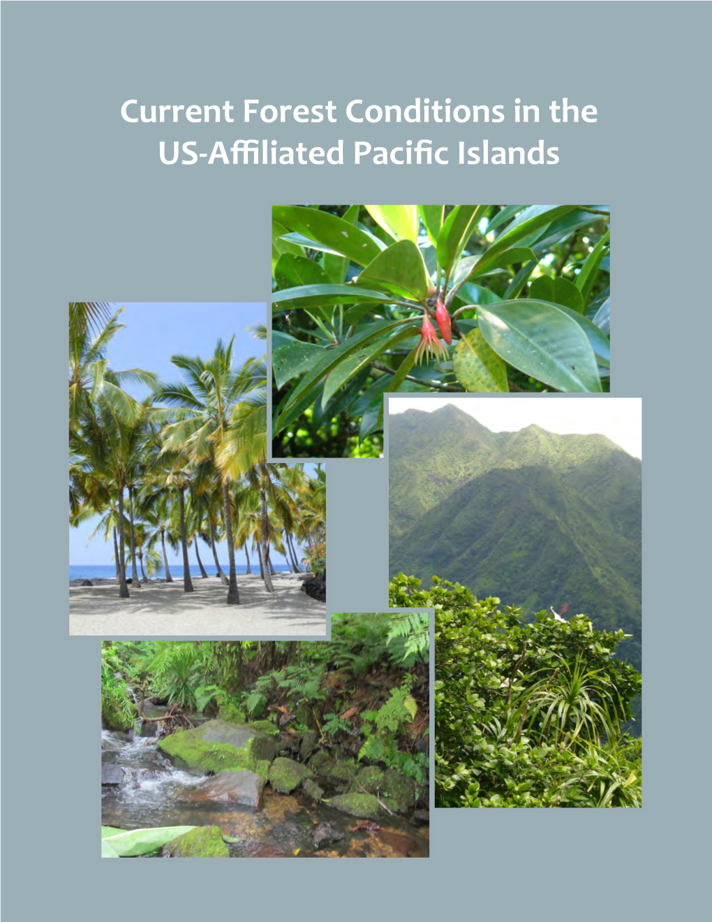 Current Forest Conditions in the US-Affiliated Pacific Islands Pesticide Precautionary Statement