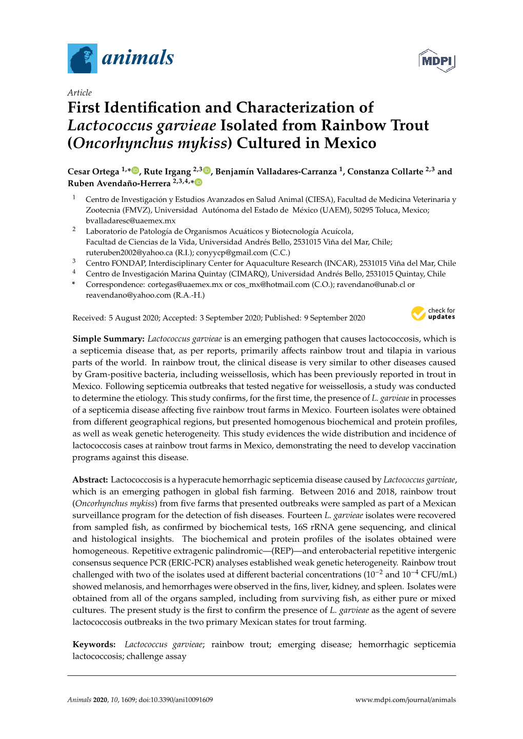 First Identification and Characterization of Lactococcus