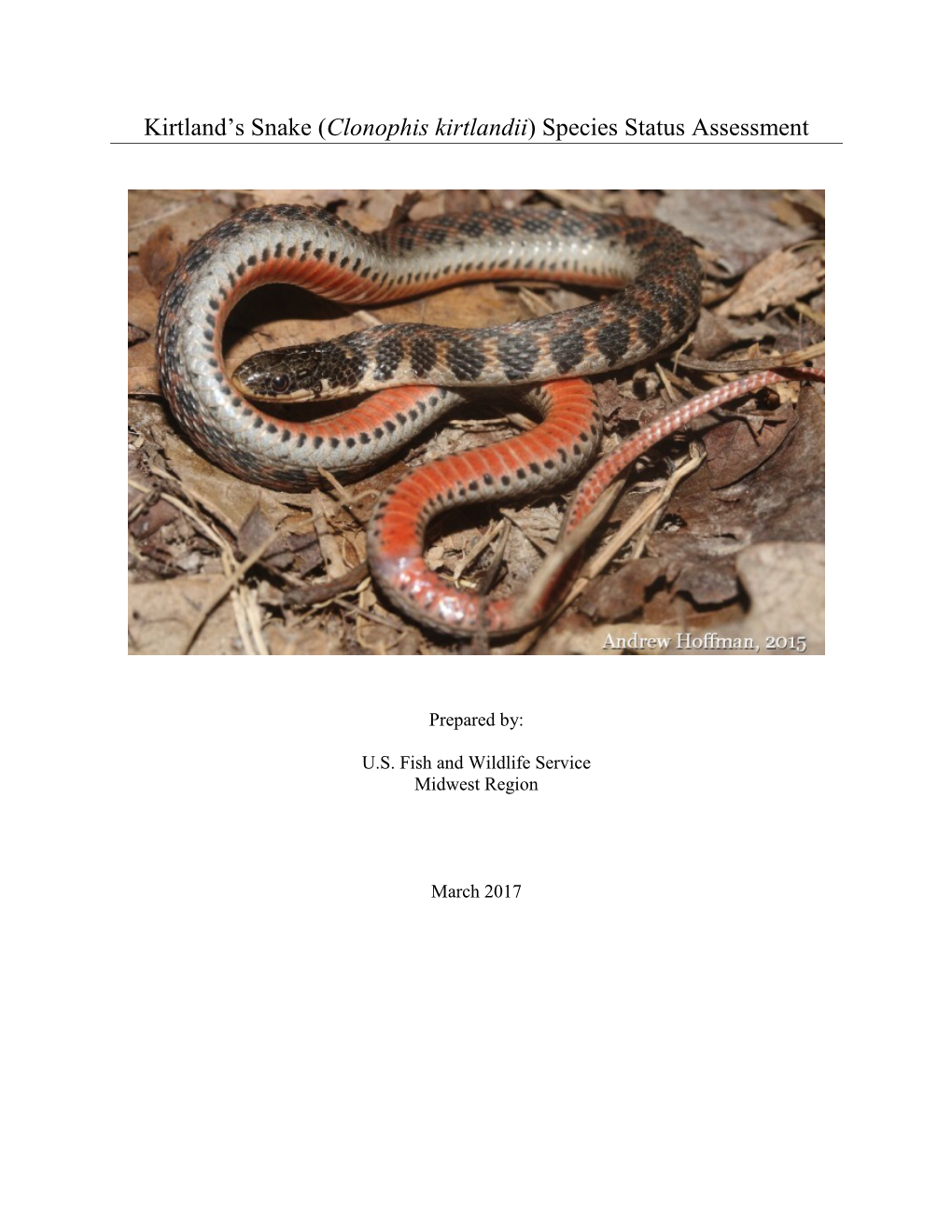 Species Status Assessment for Kirtland's Snake (Clonophis Kirtlandii)