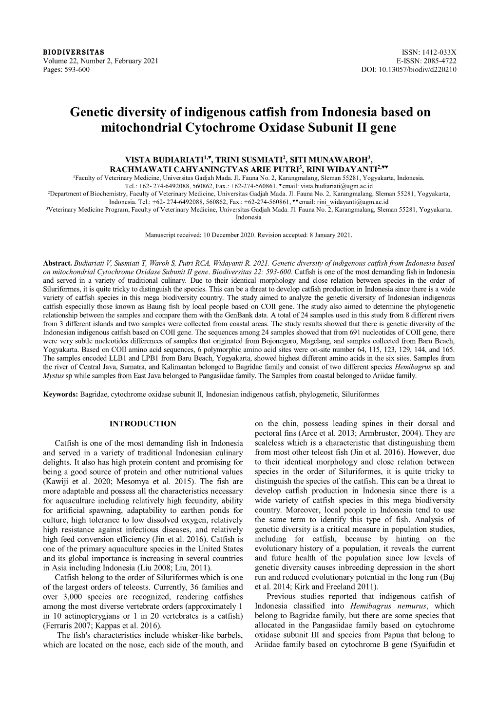 Genetic Diversity of Indigenous Catfish from Indonesia Based on Mitochondrial Cytochrome Oxidase Subunit II Gene