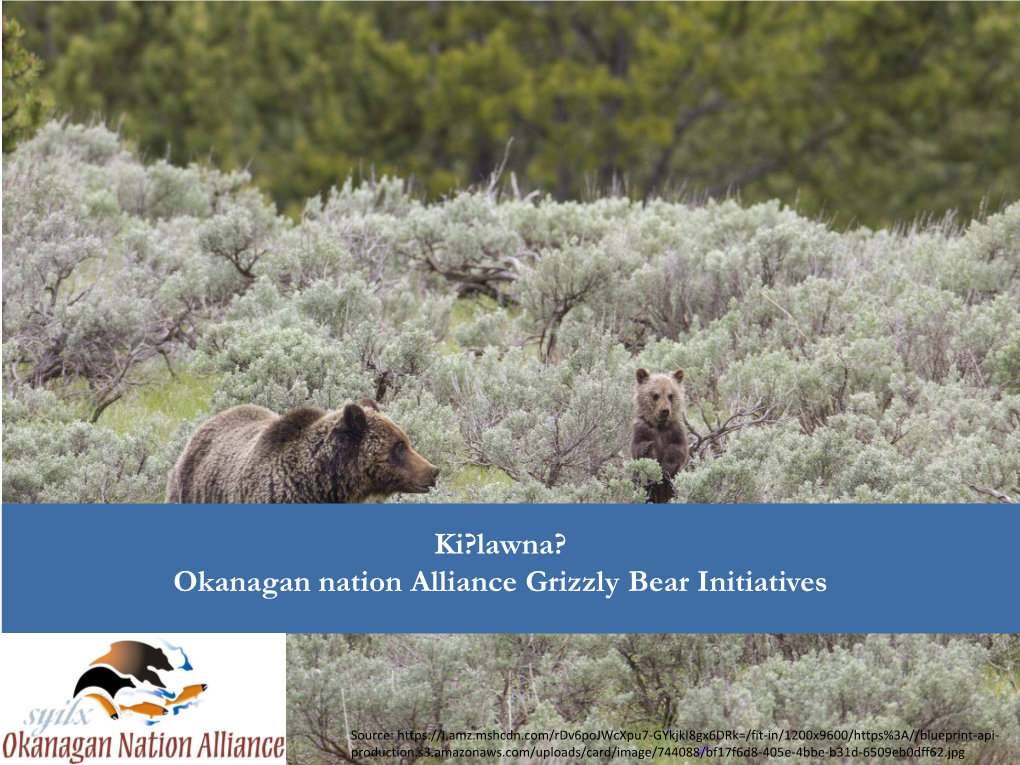 Ki?Lawna? Okanagan Nation Alliance Grizzly Bear Initiatives