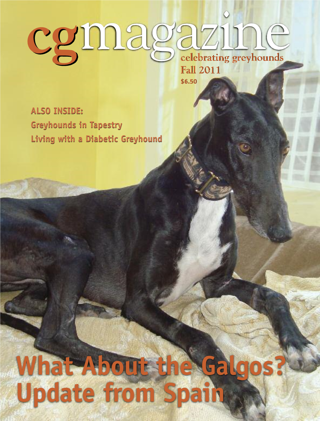 What About the Galgos? Update from Spain S T N E T N O C