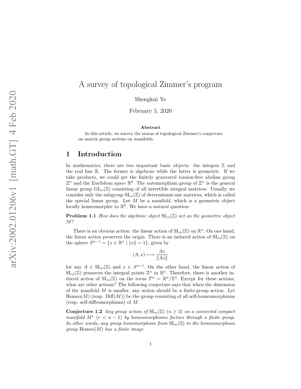 A Survey of Topological Zimmer's Program
