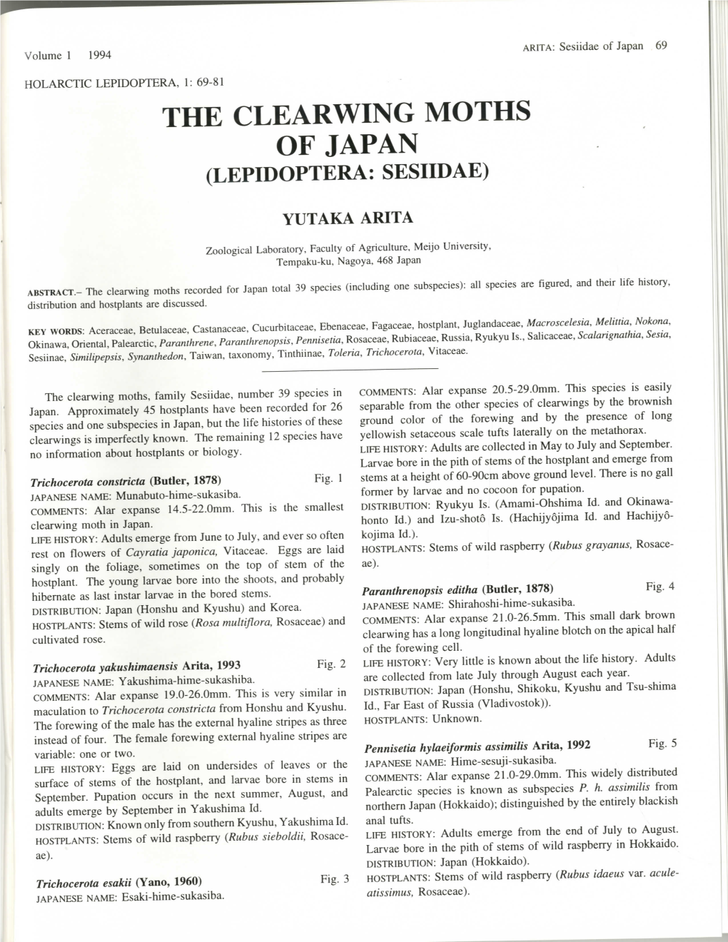 The Clearwing Moths of Japan (Lepidoptera: Sesiidae)