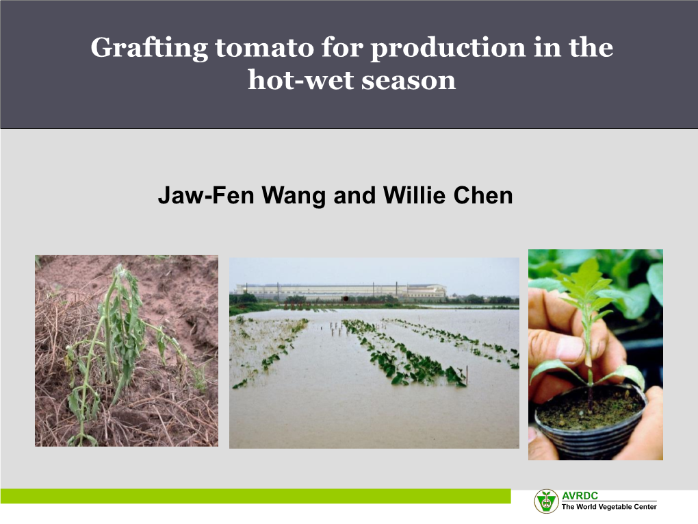 Grafting Tomato for Production in the Hot-Wet Season