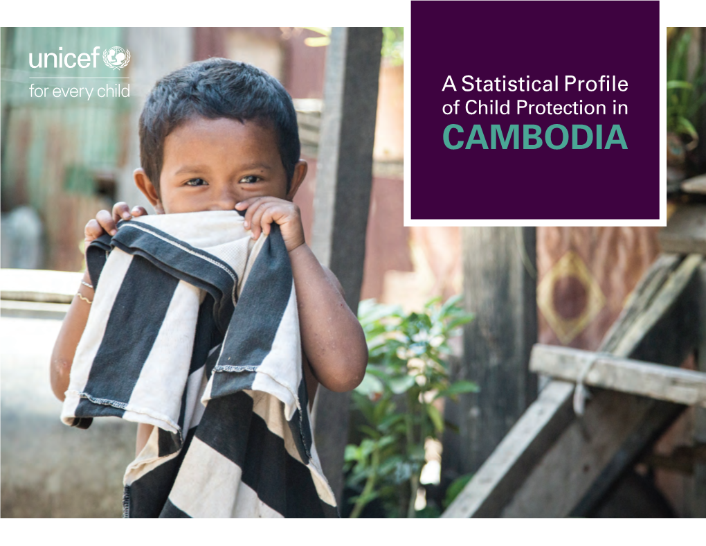 A Statistical Profile of Child Protection in Cambodia