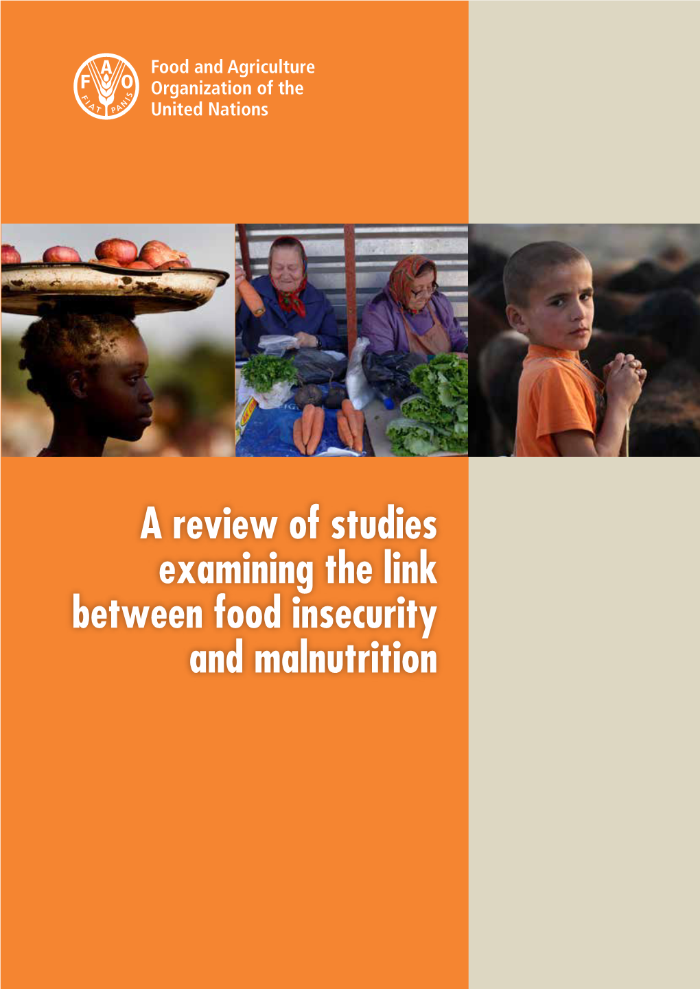 A Review of Studies Examining the Link Between Food Insecurity and Malnutrition Cover Photographs