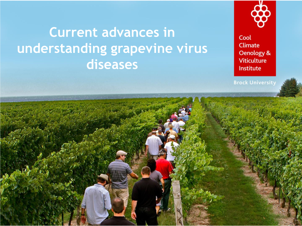 Current Advances in Understanding Grapevine Virus Diseases Outline