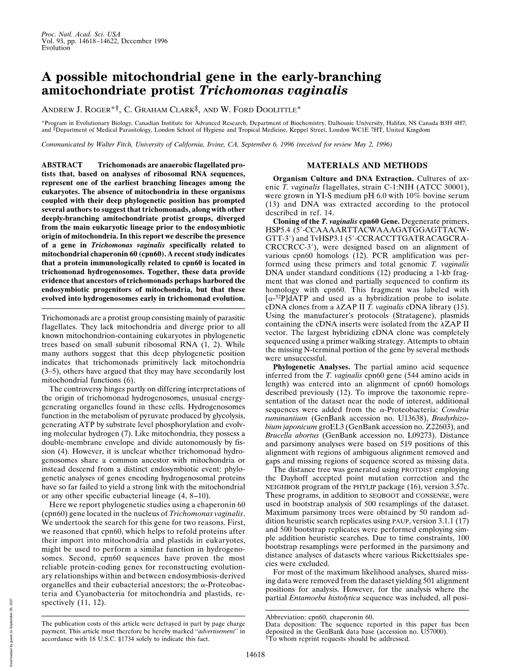 A Possible Mitochondrial Gene in the Early-Branching Amitochondriate Protist Trichomonas Vaginalis