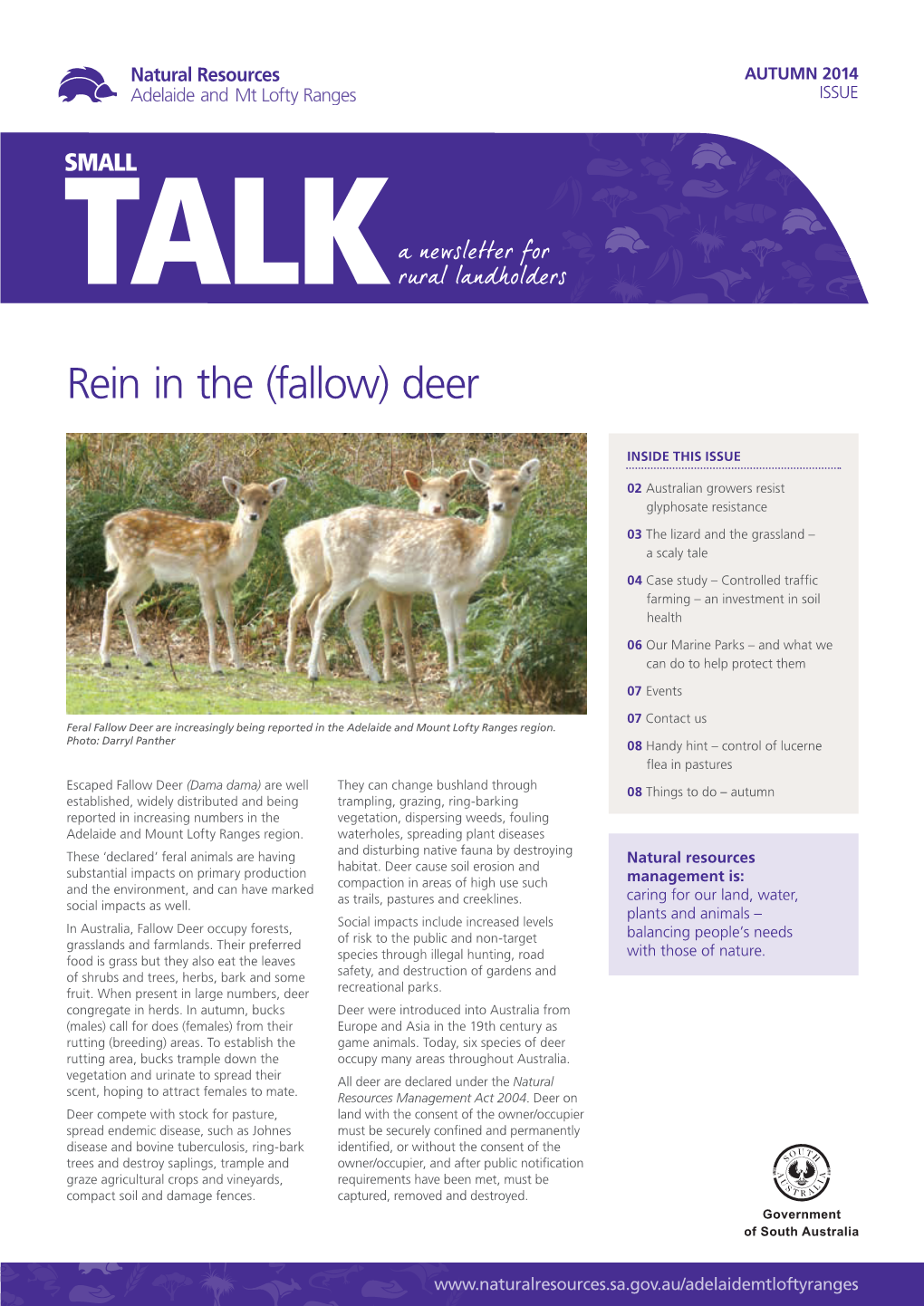 Rein in the (Fallow) Deer