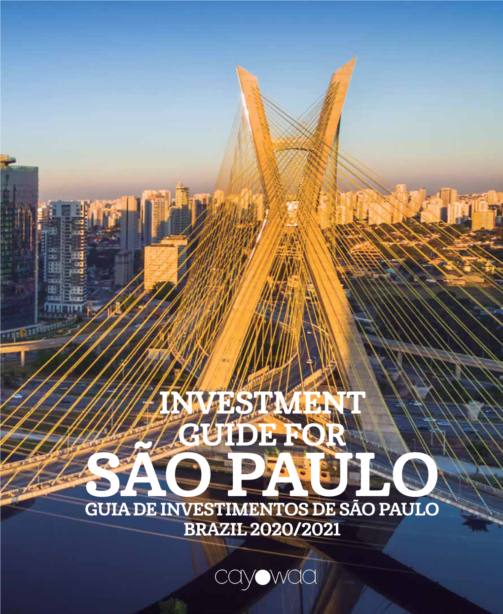 Investment Guide for São Paulo Guia De Investimentos De São Paulo Brazil 2020/2021 Ildo Frazao