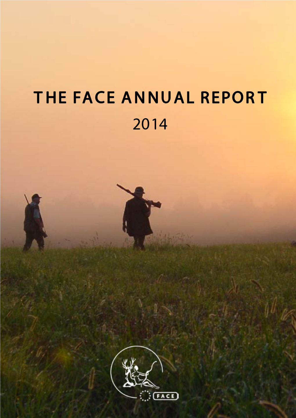 The Face Annual Report 2014