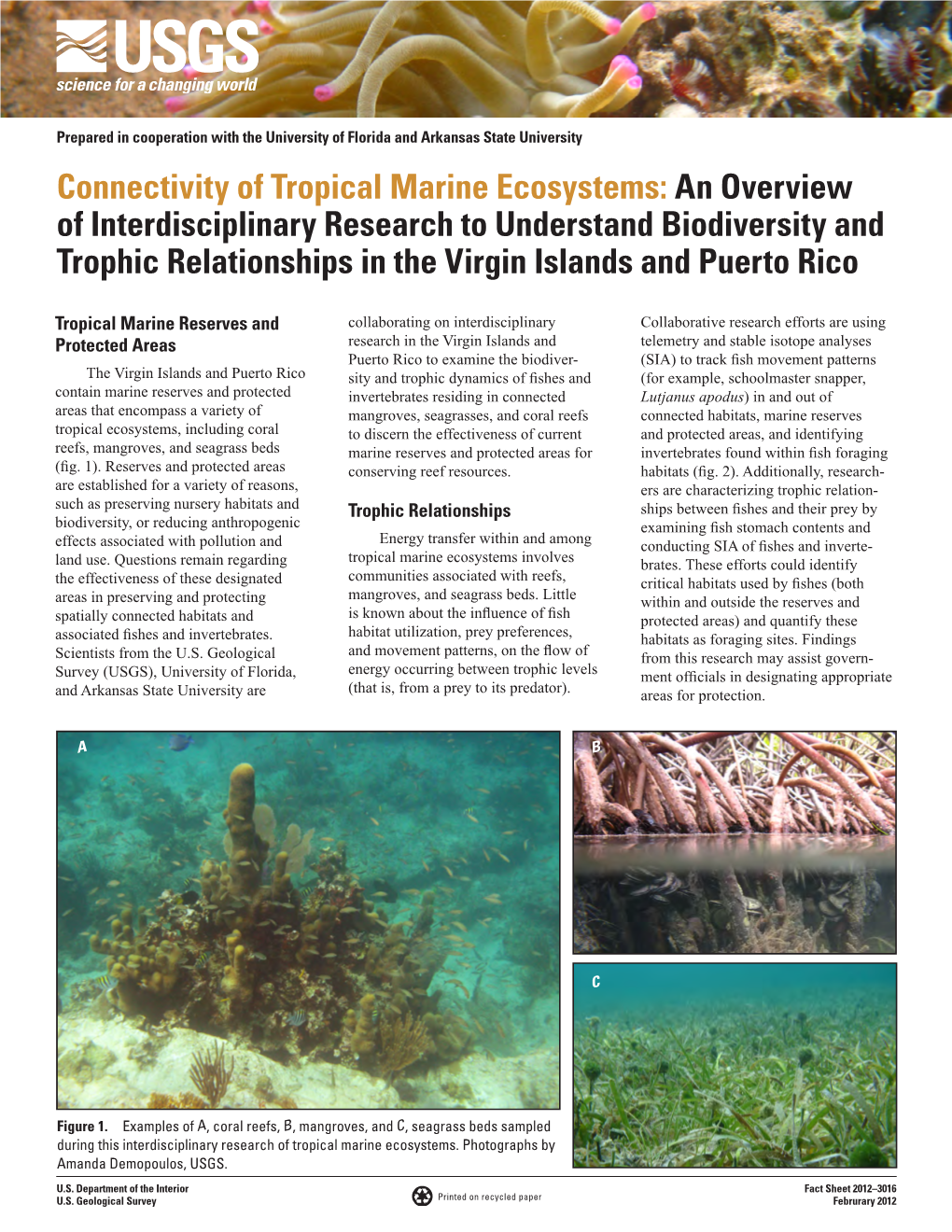 Connectivity of Tropical Marine Ecosystems: an Overview Of