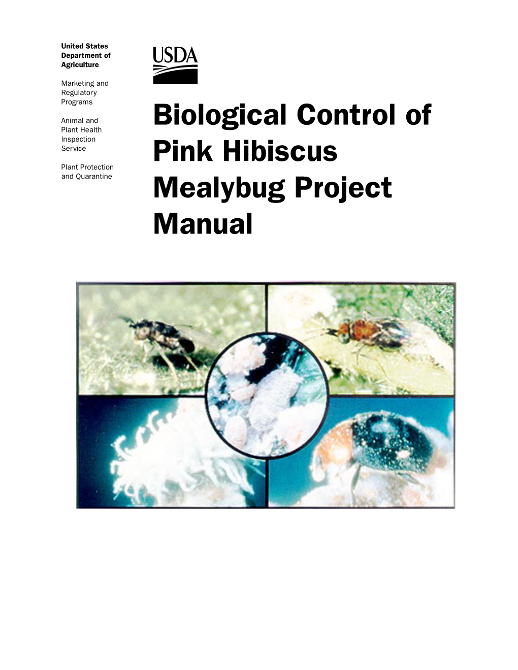 Biological Control of Pink Hibiscus Mealybug Project Manual