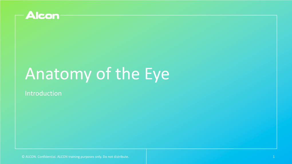 Anatomy of the Eye PPT SB