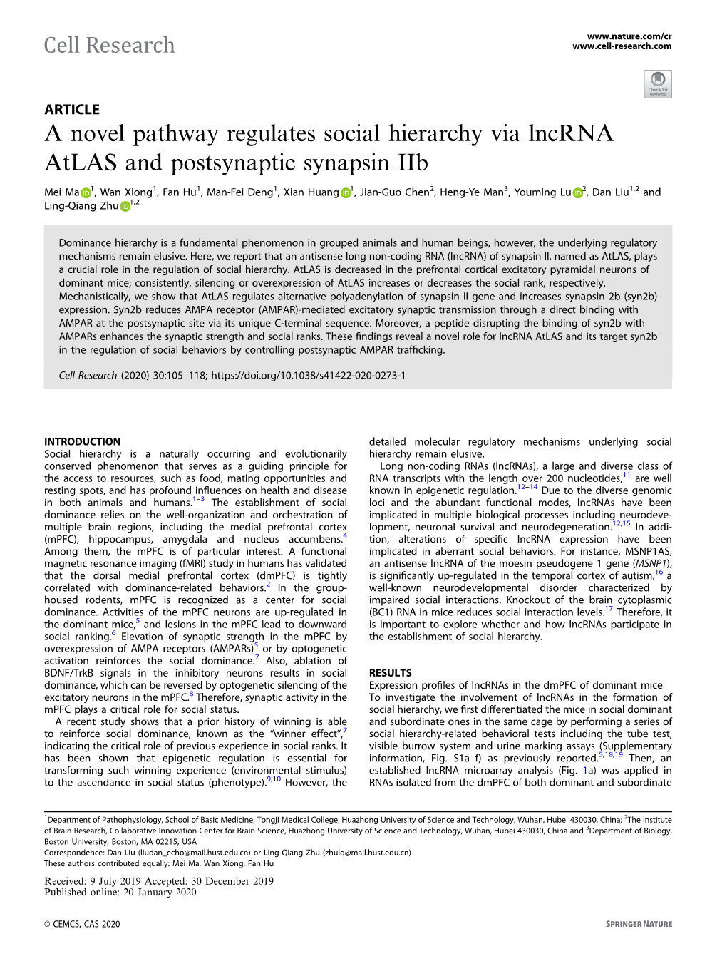 A Novel Pathway Regulates Social Hierarchy Via Lncrna Atlas and Postsynaptic Synapsin Iib