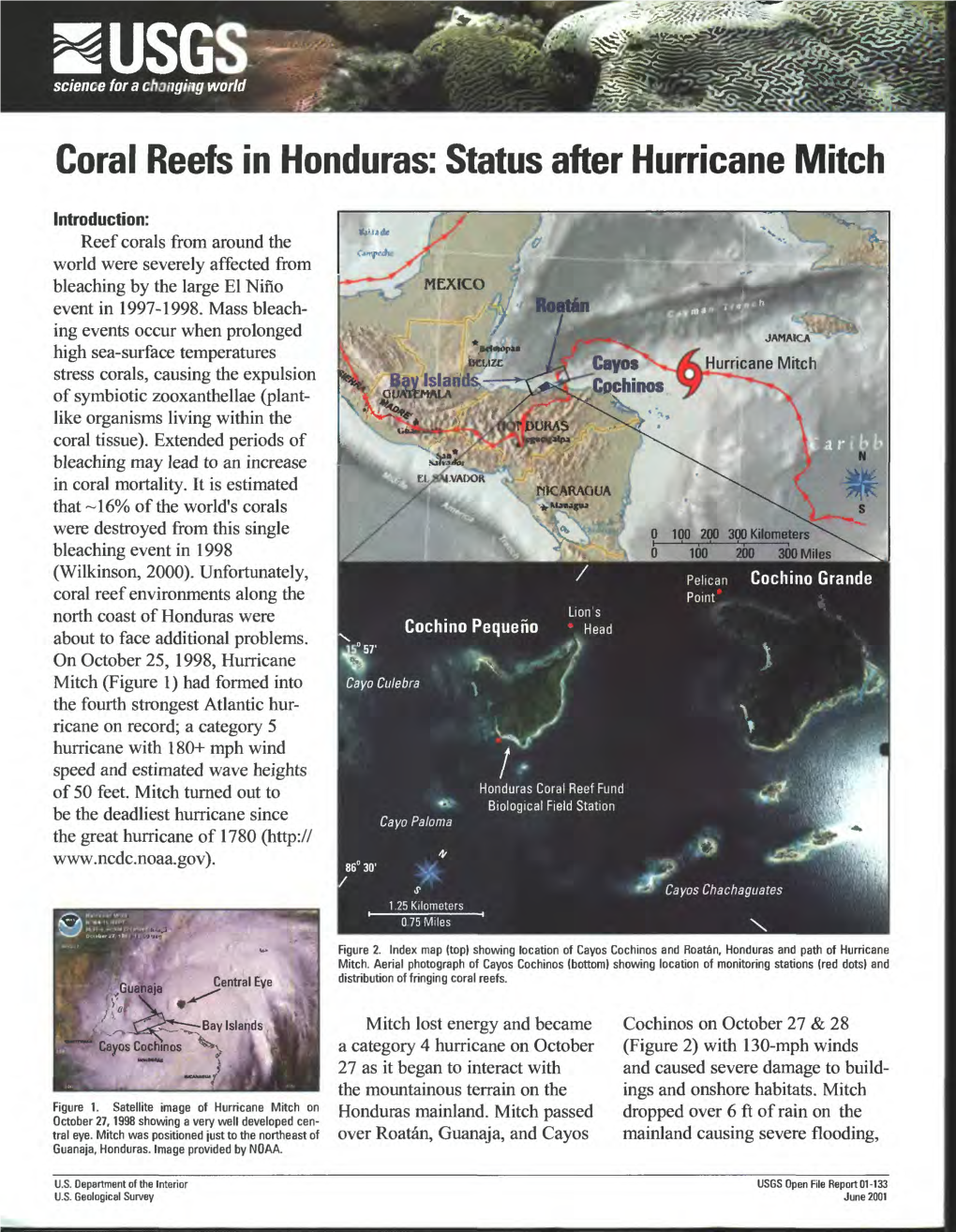 Coral Reefs in Honduras: Status After Hurricane Mitch
