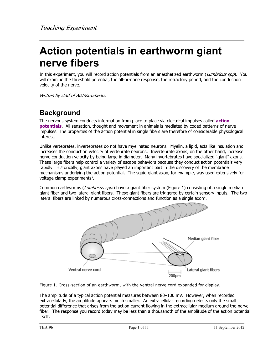 Action Potentials in Earthworm Giant Nerve Fibers in This Experiment, You Will Record Action Potentials from an Anesthetized Earthworm (Lumbricus Spp)