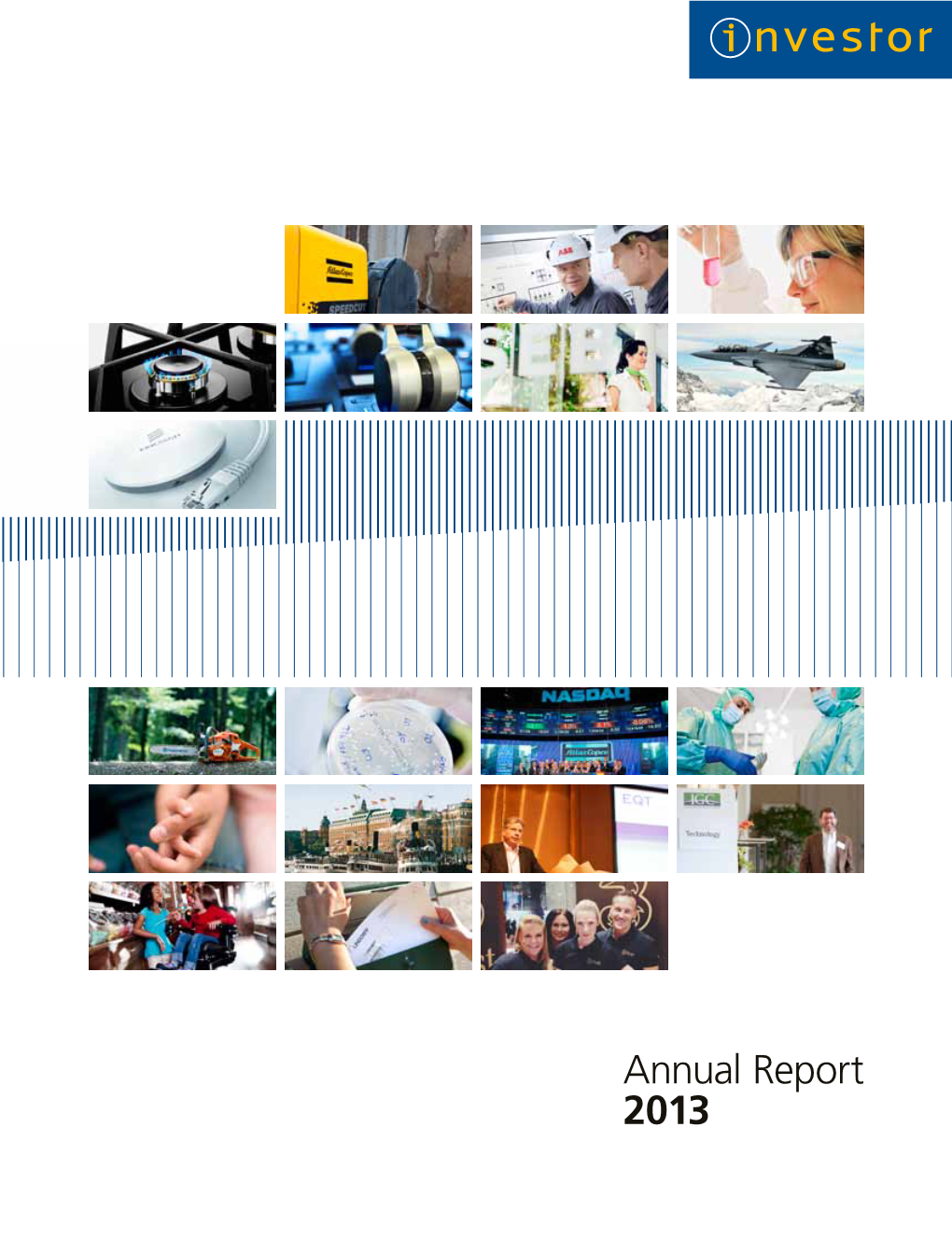 Annual Report 2013 Investor in Brief